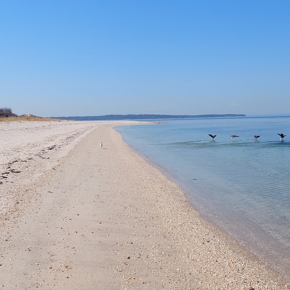 Meet your Posher, Margaret